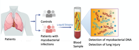 Point of care blood assay for detection of pulmonary mycobacterial infection and lung injury.