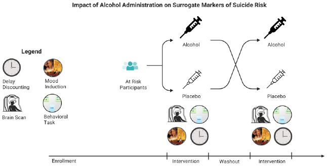 A schematic diagram of the study design to evaluate the relationship of intravenous (IV) alcohol to suicide risk factors.