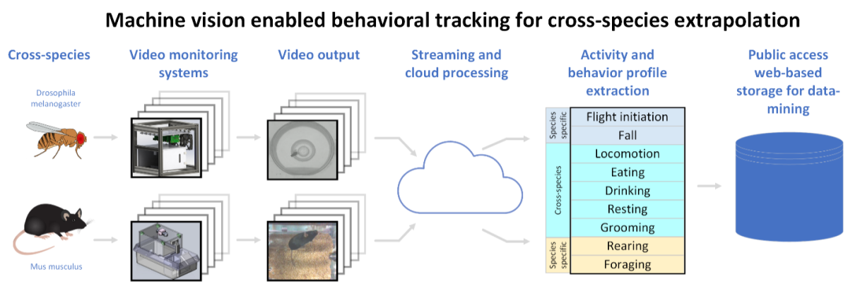 A graphic detailing cross-species extrapolation using two different hardware systems for toxicological testing in the fruit fly and mouse model. Automated video processing algorithms are applied to the video output of the systems. The resulting behavior profiles, along with molecular analysis, are to generate a mechanistic cross-species extrapolation model. This will build a broadly applicable cross-species modeling capability with utility beyond toxicity screens.