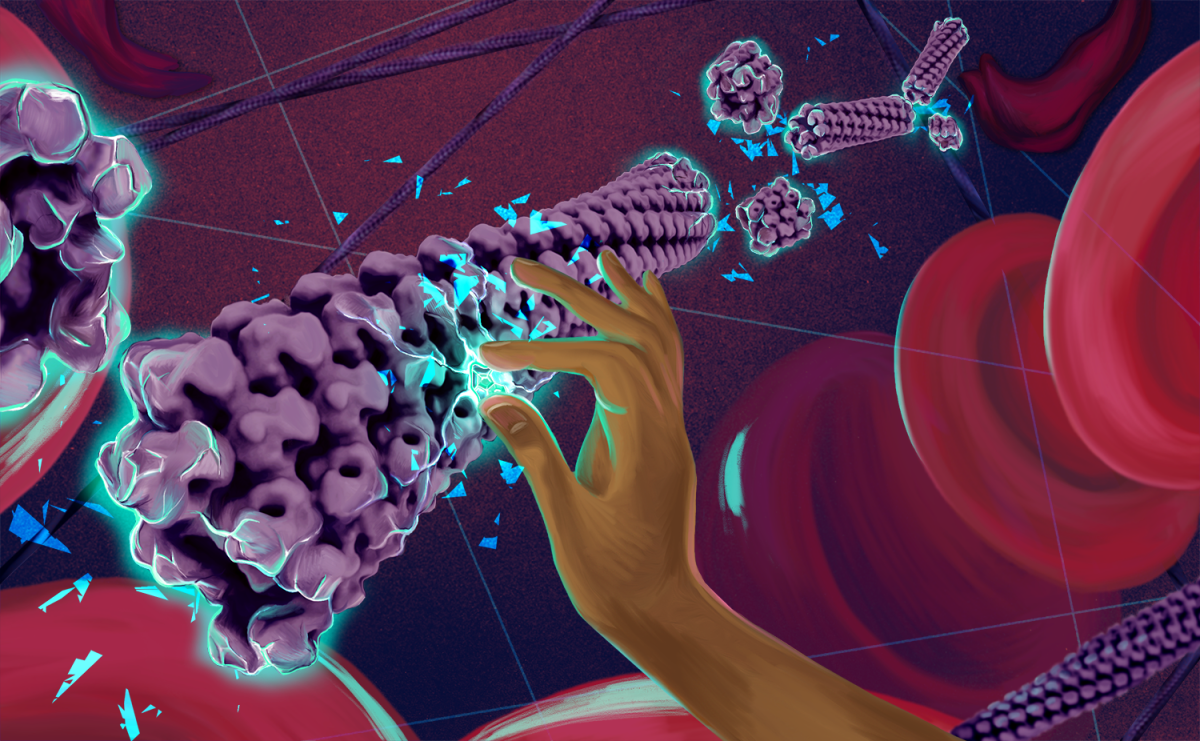 This original artwork by Rose Perry-Gottschalk (NIAID) conveys the approach and purpose of this collaborative project: to discover a drug that inhibits the polymerization of sickle hemoglobin (HbS).