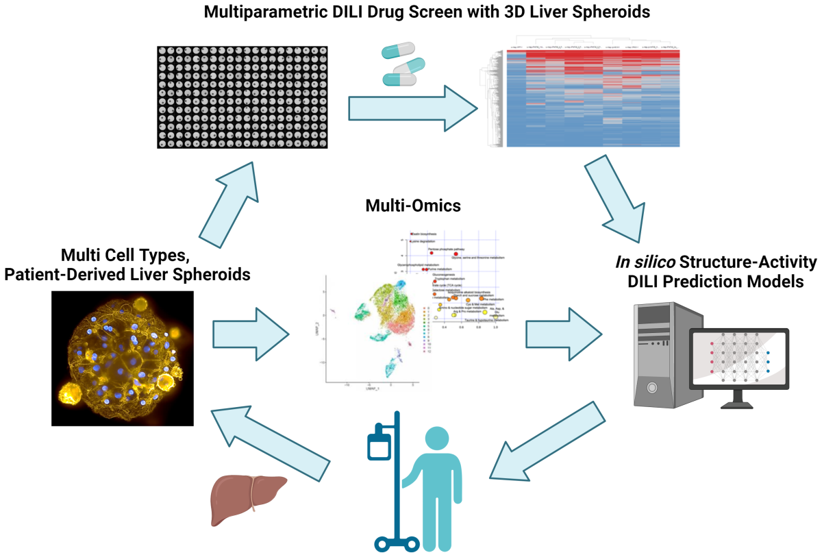 A combined in vitro/in silico platform of novel three-dimensional (3D) patient-derived liver tissue models with artificial intelligence/machine learning (AI/ML) techniques to establish a robust, predictive toxicology system that can protect against Drug-Induced Liver Injury (DILI) elicited by drugs or environmental compounds.