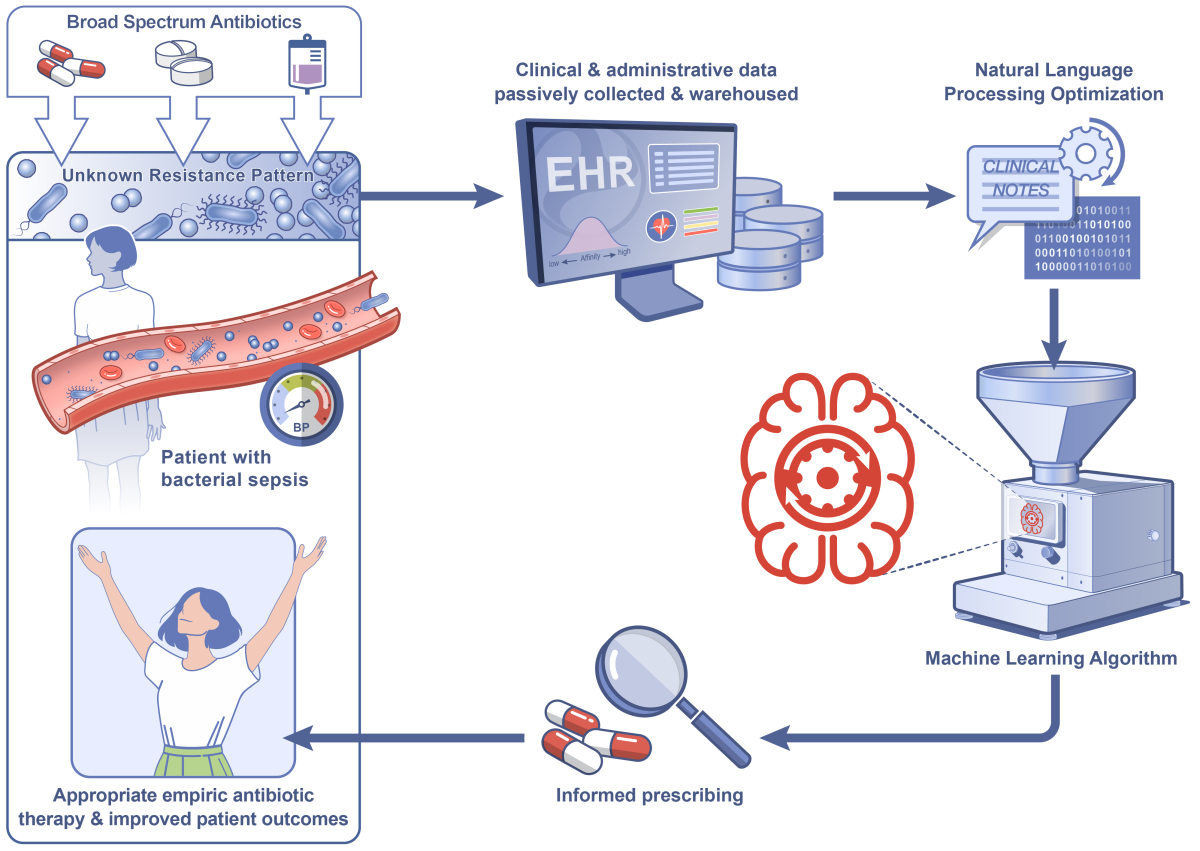 A schematic diagram detailing the proposed strategy of applying machine learning to structured and unstructured data elements from electronic health records to predict antimicrobial resistant pathogens and optimize empiric antibiotic selection in patients presenting with hospital-onset sepsis.