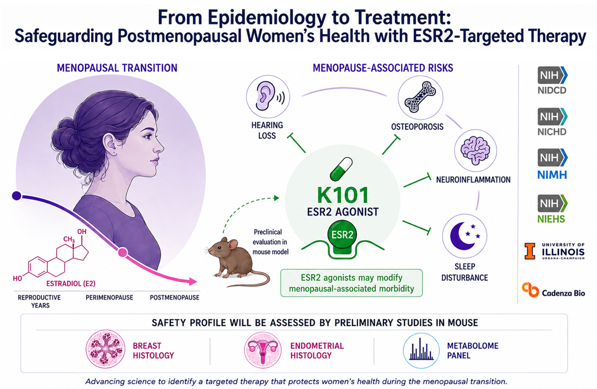 This project investigates whether the ESR2-selective agonist K101 can safely treat menopause-associated health conditions including hearing loss, sleep disruption, and osteoporosis in ovariectomized mice while avoiding risks associated with traditional hormone replacement therapy.