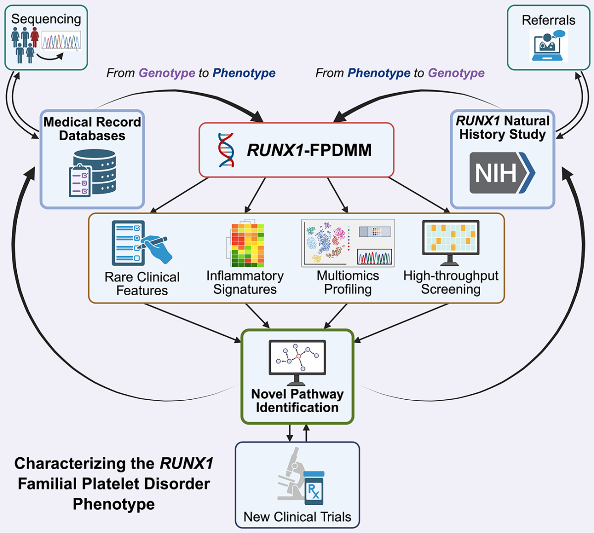 RUNX1-Familial Platelet Disorder with Myeloid Malignancy predisposition is germline genetic disorder that predisposes individuals to thrombocytopenia and development of leukemia.