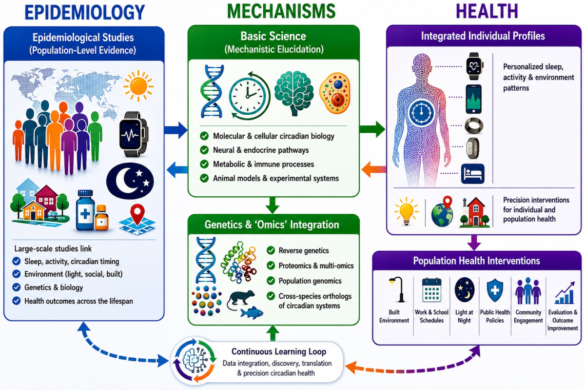 The figure shows the framework for this project that: a) integrates findings from lifespan epidemiologic studies that have identified common regulatory domains underlying chronic medical and mental conditions including sleep, motor activity, emotion and cognition.
